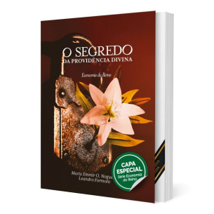 O Segredo da Providência Divina