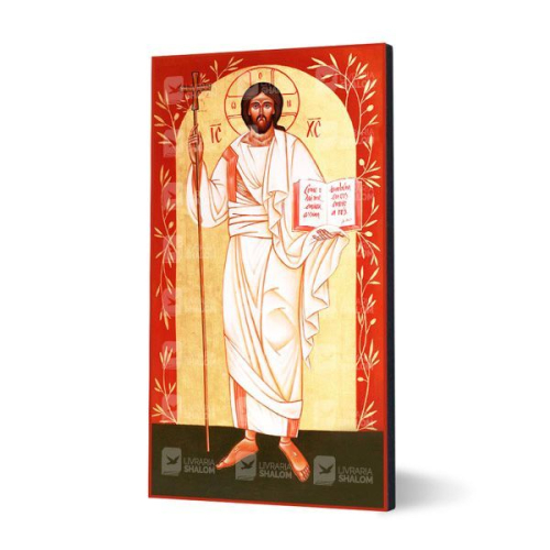 Ícone Ressuscitado Envio